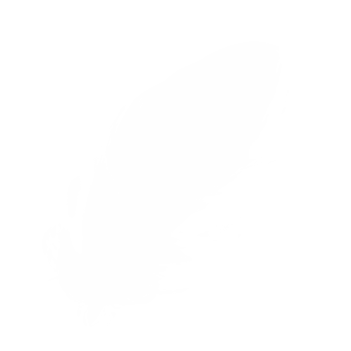 白い羽